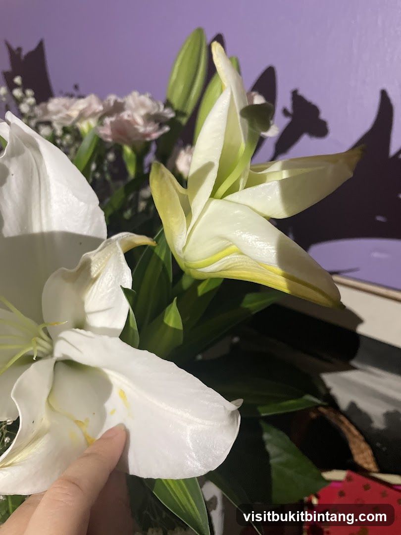 White Lilies and Pink Carnations