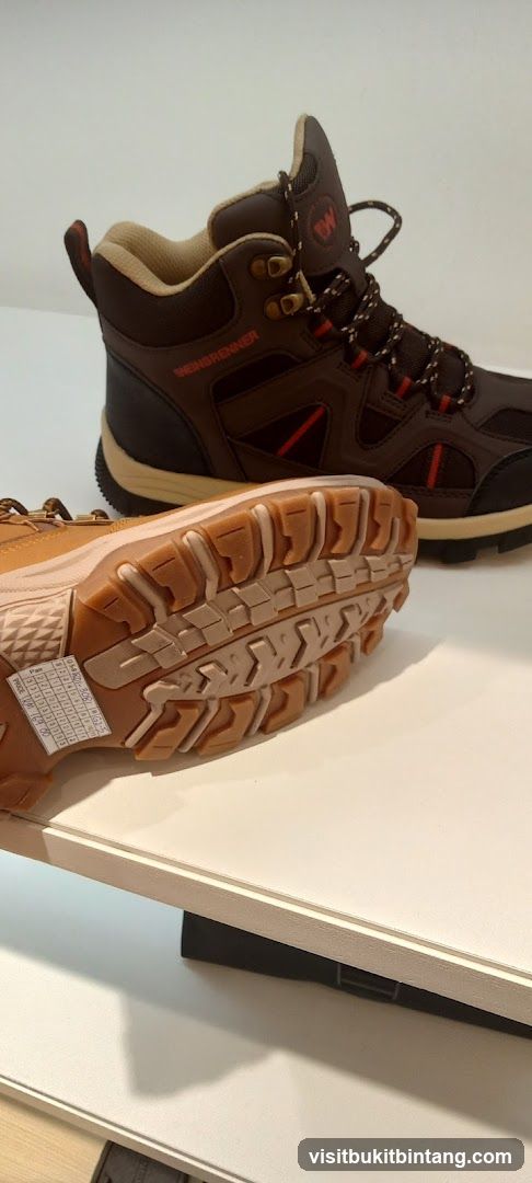 Hiking Boots
