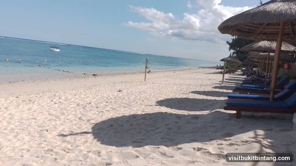 Beach with Lounge Chairs and Umbrellas