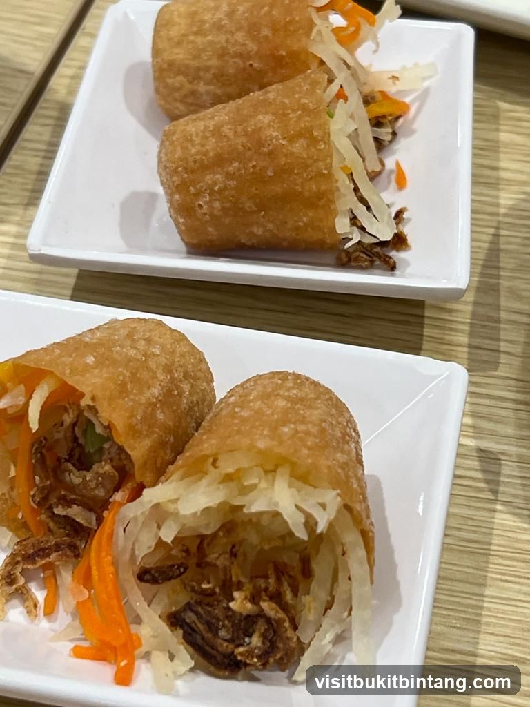 Fried Spring Rolls