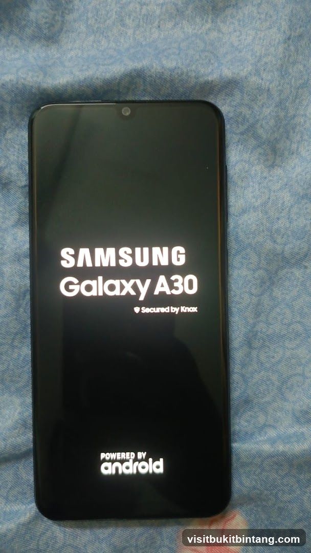 Samsung Galaxy A30 Boot Screen