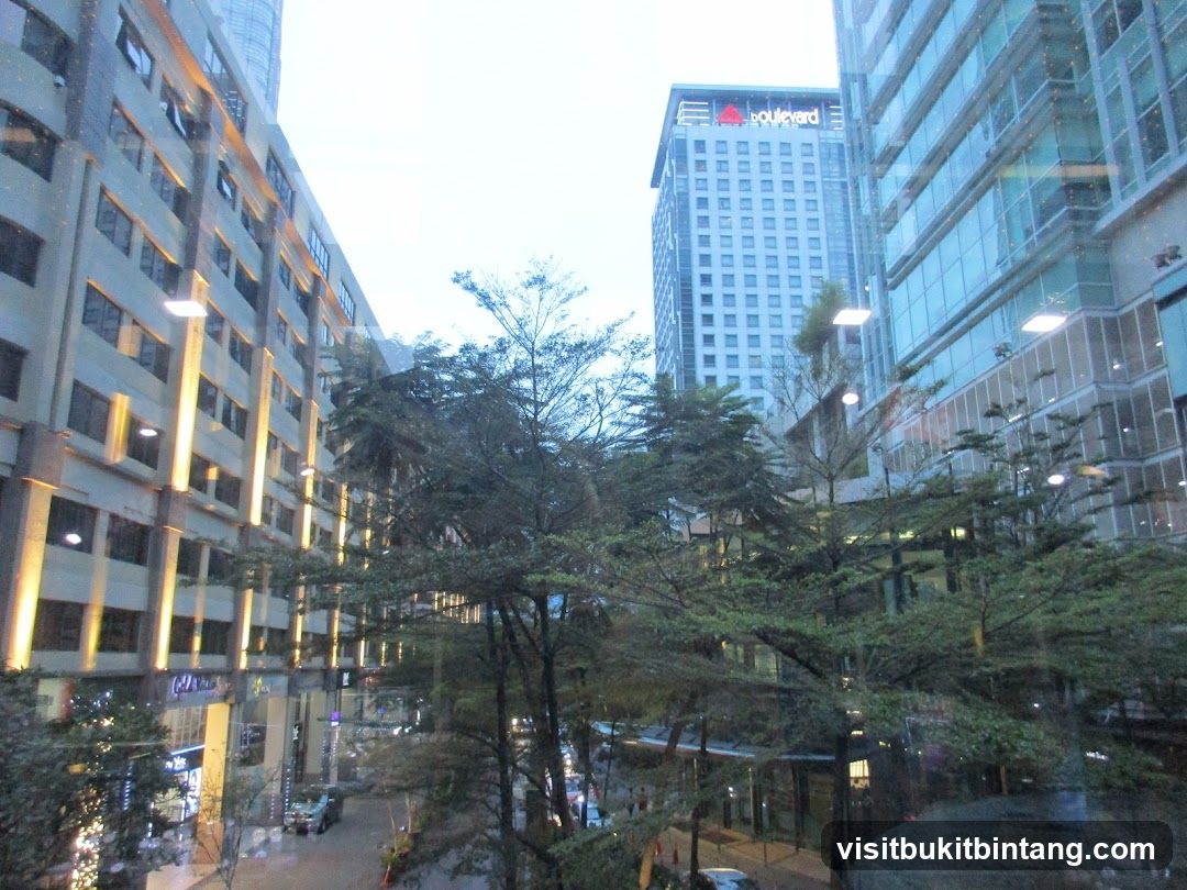 City Street with Modern Buildings and Trees