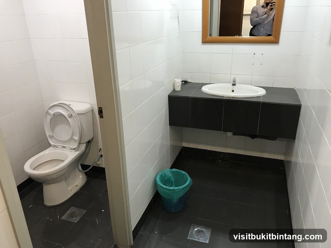 Restroom Sink and Toilet