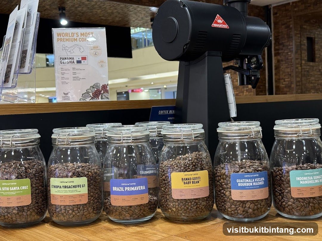 Coffee Bean Display