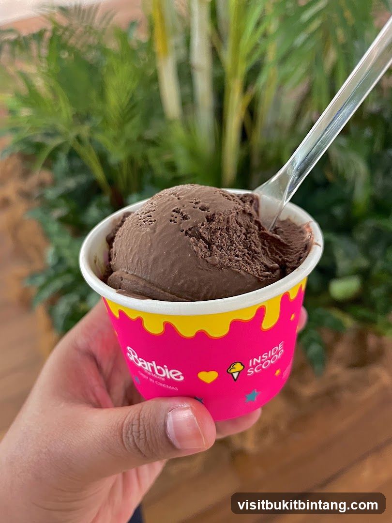 Chocolate Ice Cream Cup