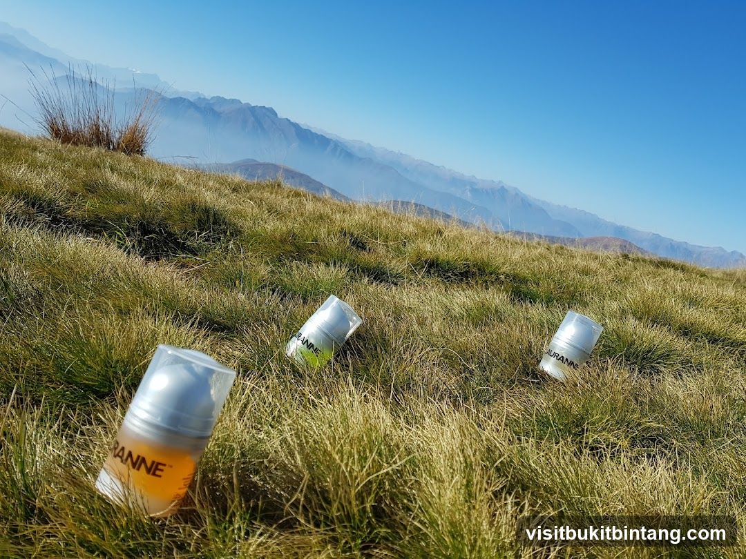 Three bottles in a grassy field with mountains in the background