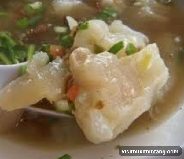 Close-up of a bowl of soup with large pieces of meat and vegetables.