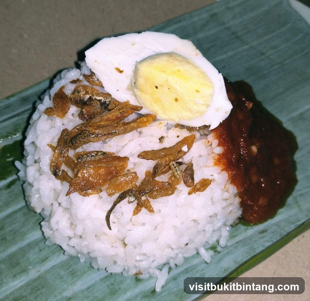 Nasi Lemak