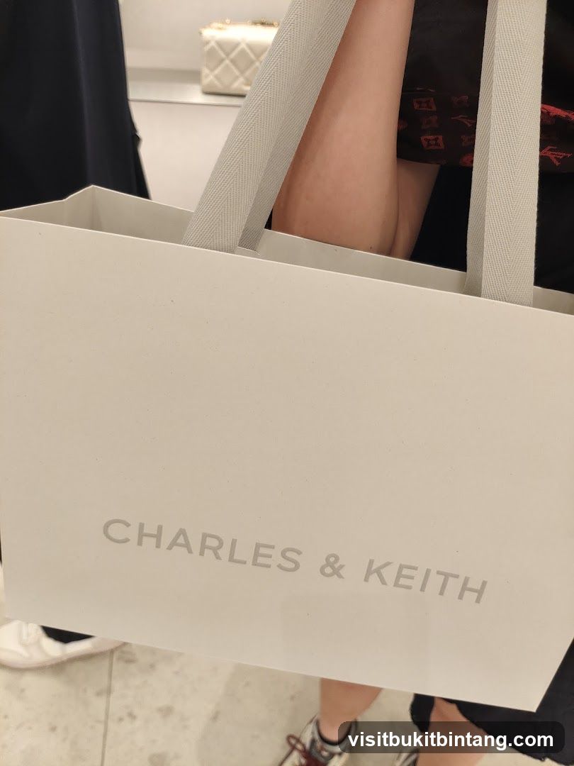 Charles & Keith Shopping Bag