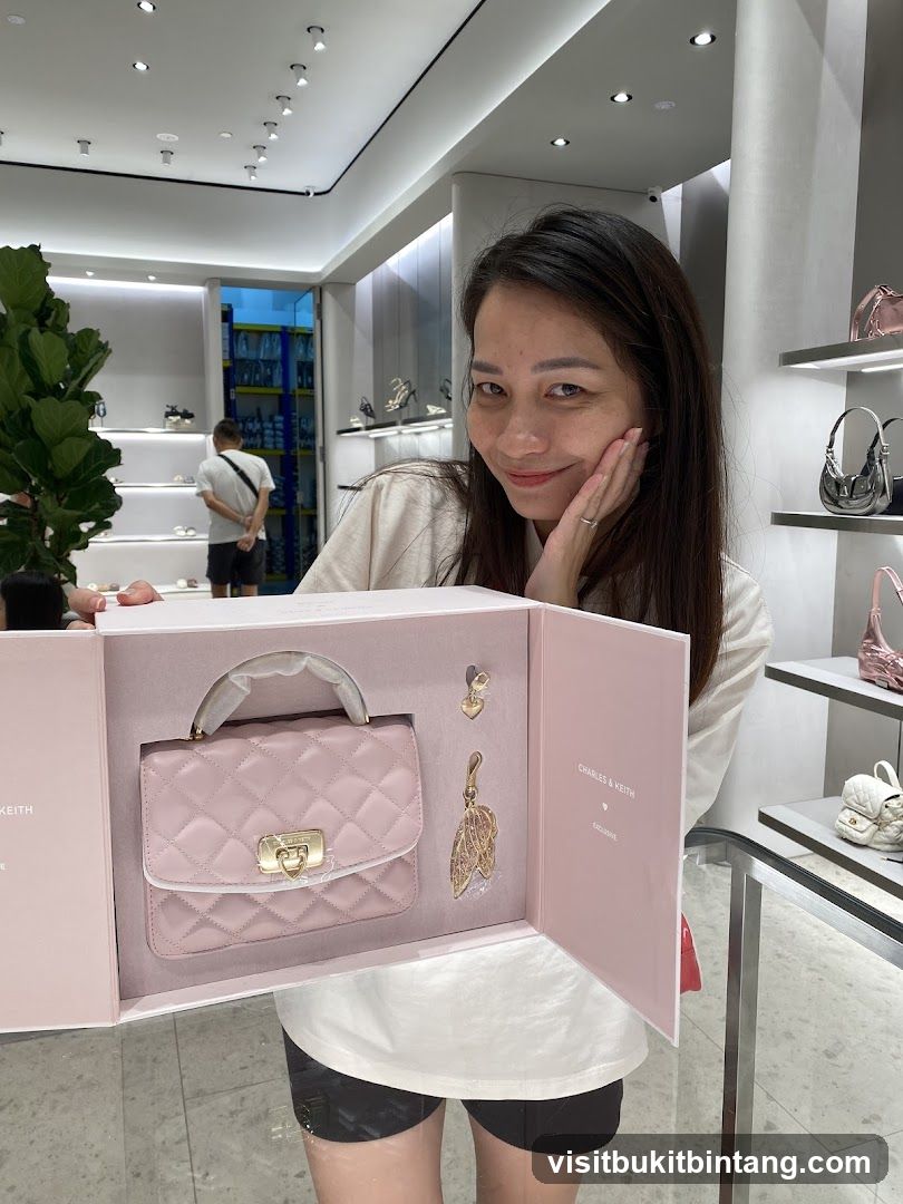 Woman Holding a Pink Handbag Set