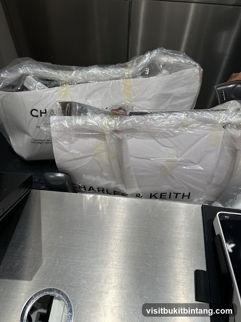 Charles & Keith Bags
