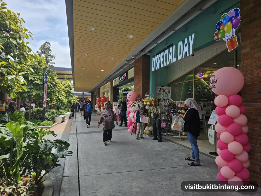 D'Special Day Decor, Gift & Balloon (Elmina)