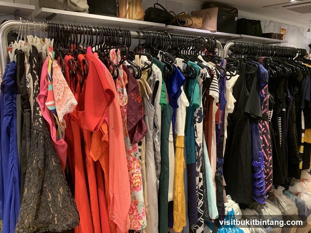 Clothing Rack with Dresses