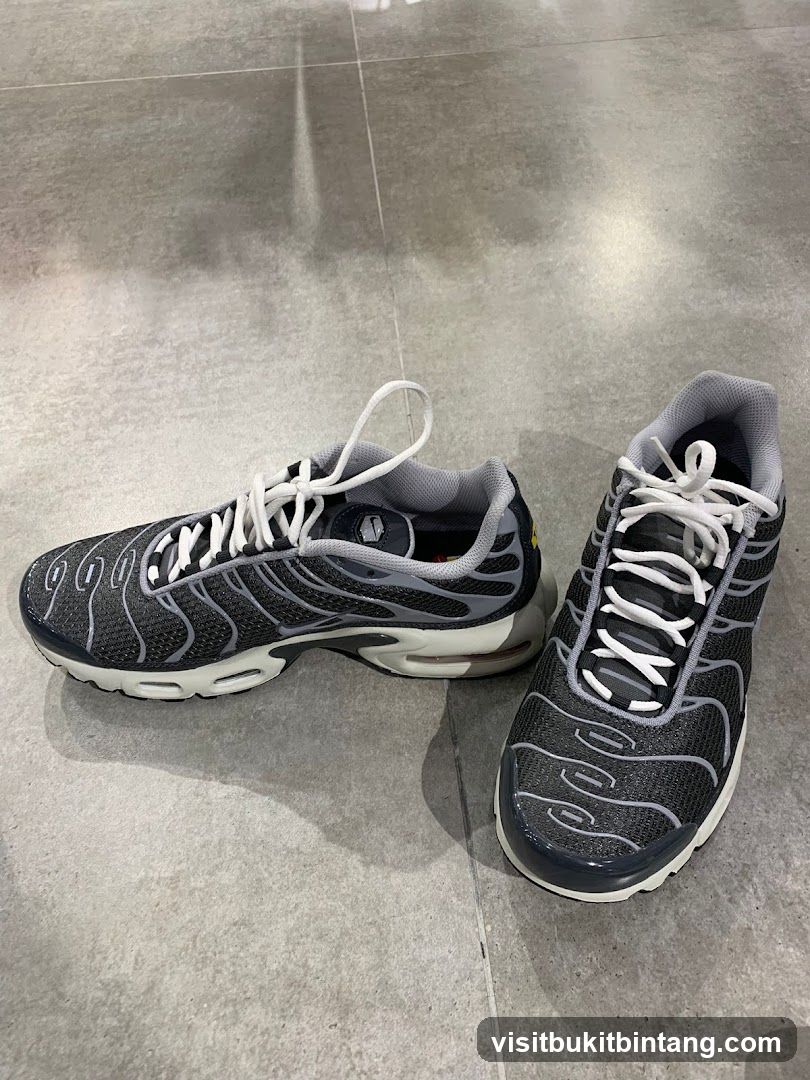 Nike Air Max Plus Sneakers