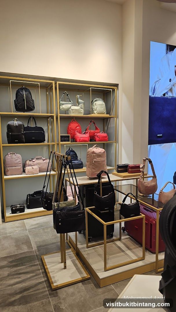 Bag Display Store Interior