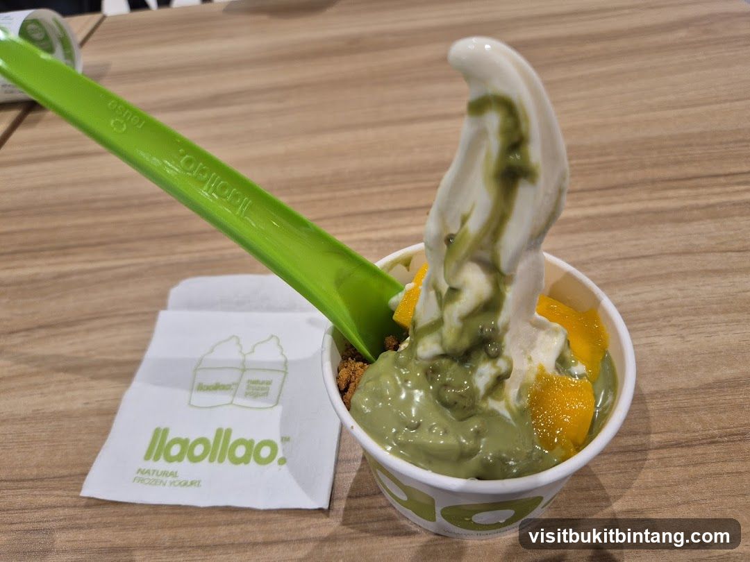 Ilaollao Frozen Yogurt Cup