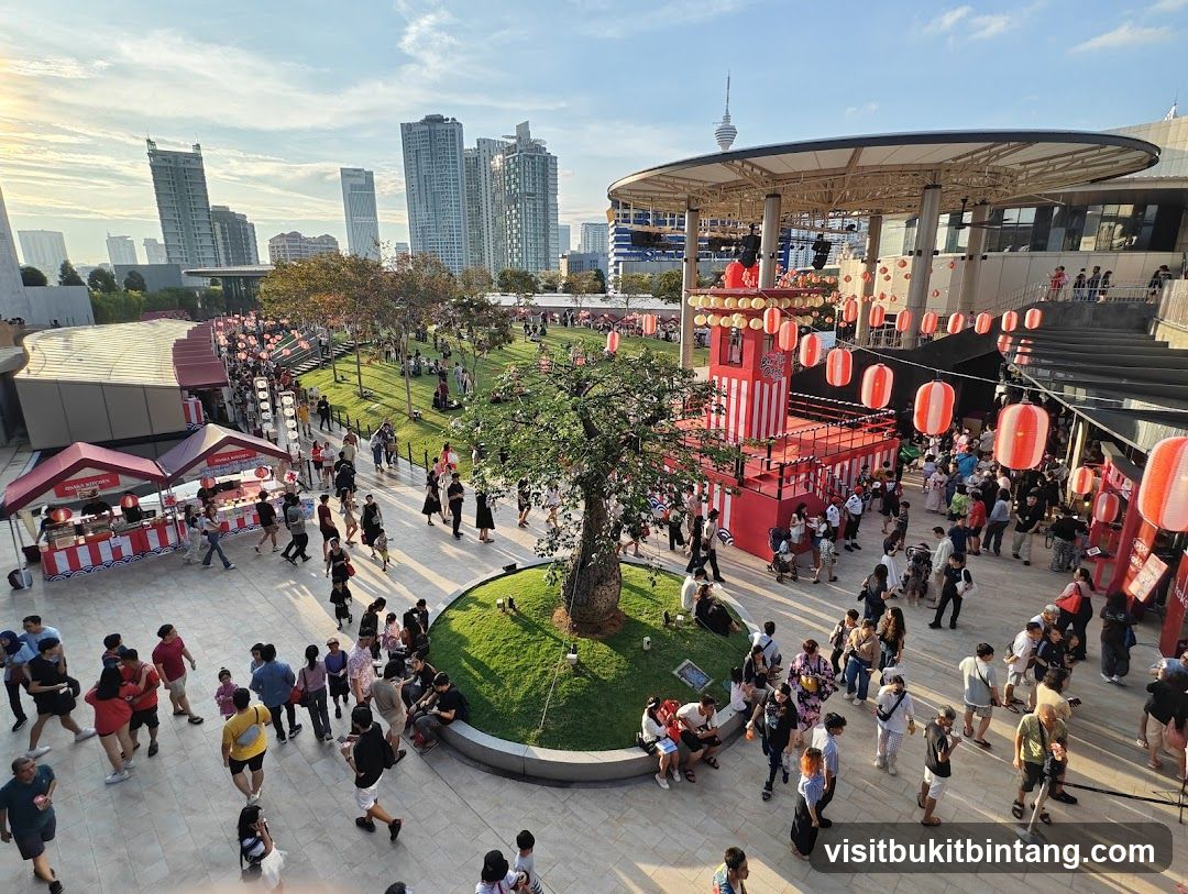 Crowded Outdoor Festival