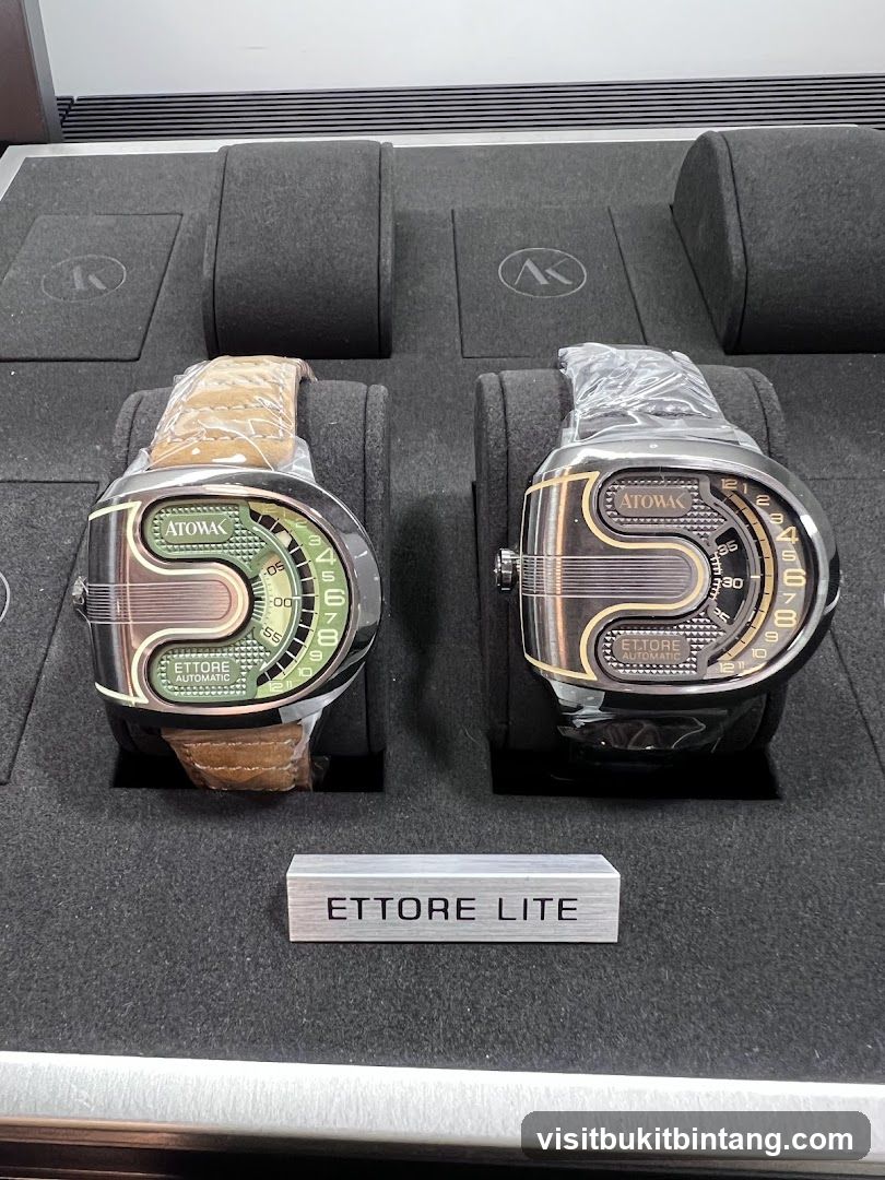 Two watches on display