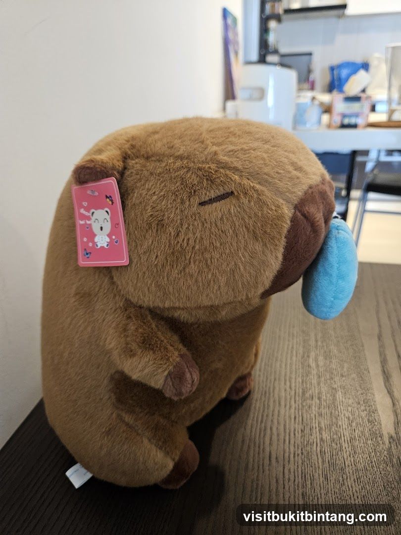 Plush Toy