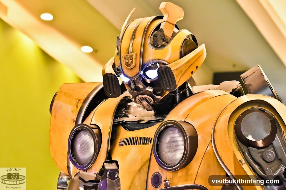 Bumblebee Robot