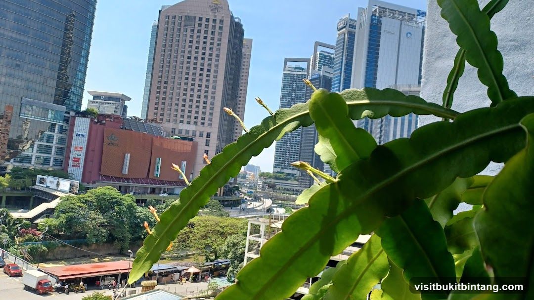 Cityscape with Plant in Foreground