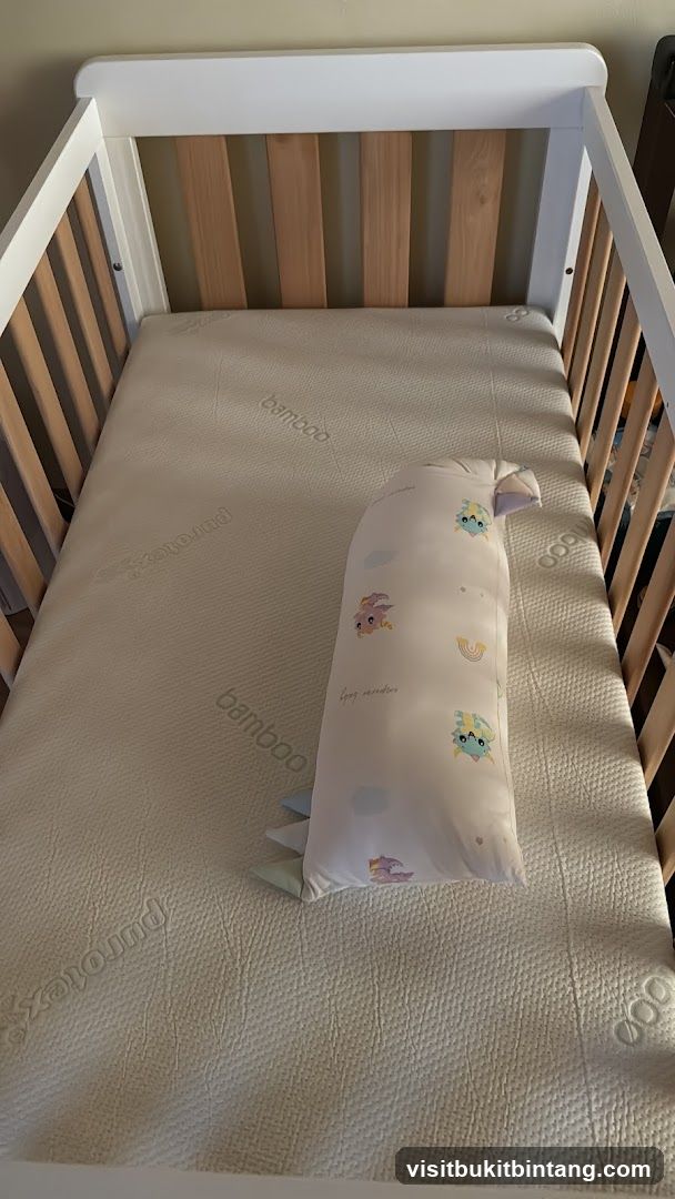 Crib with Mattress and Pillow