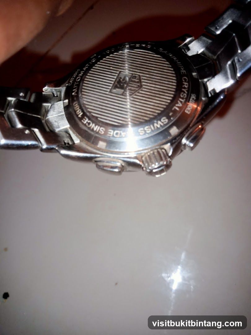 Watch Case Back