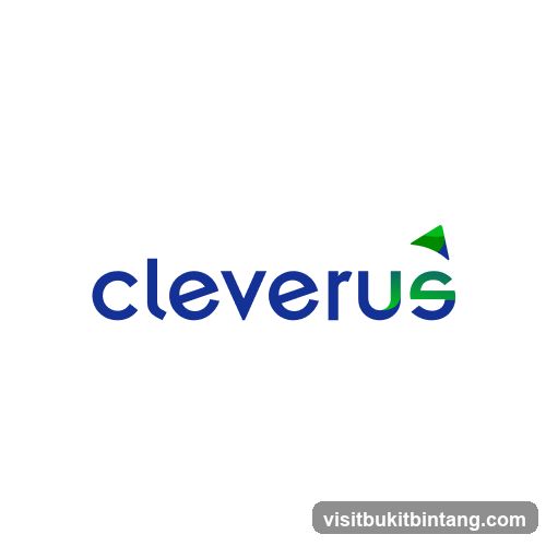 Cleverus AI SEO Agency