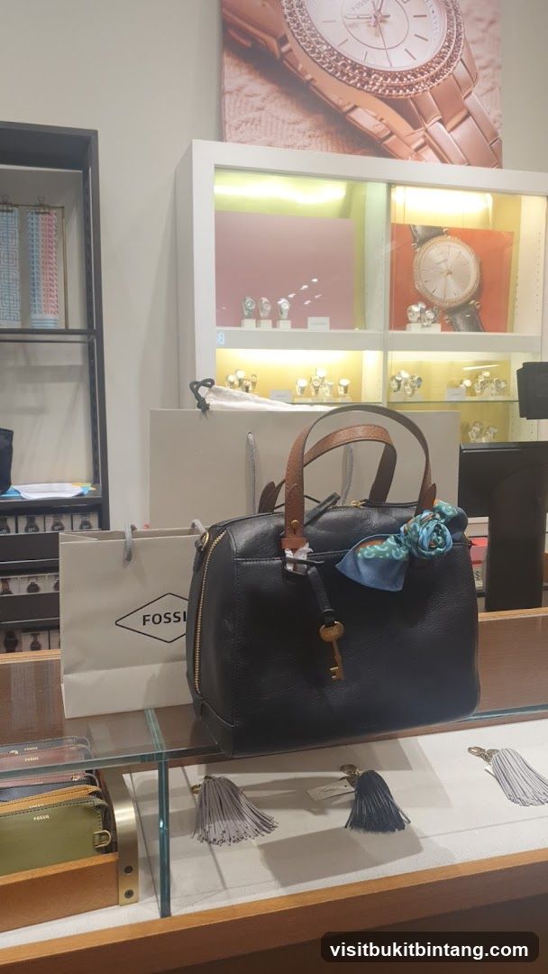 Fossil Store Display
