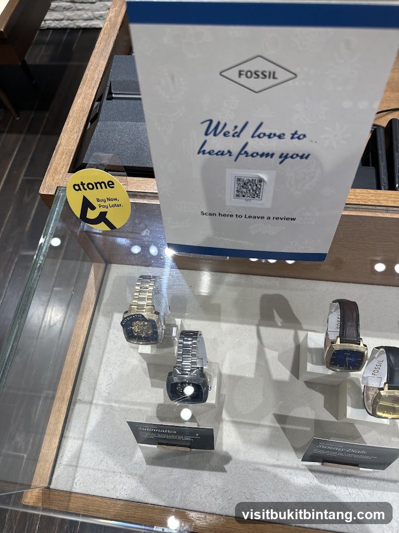 Fossil Watch Display