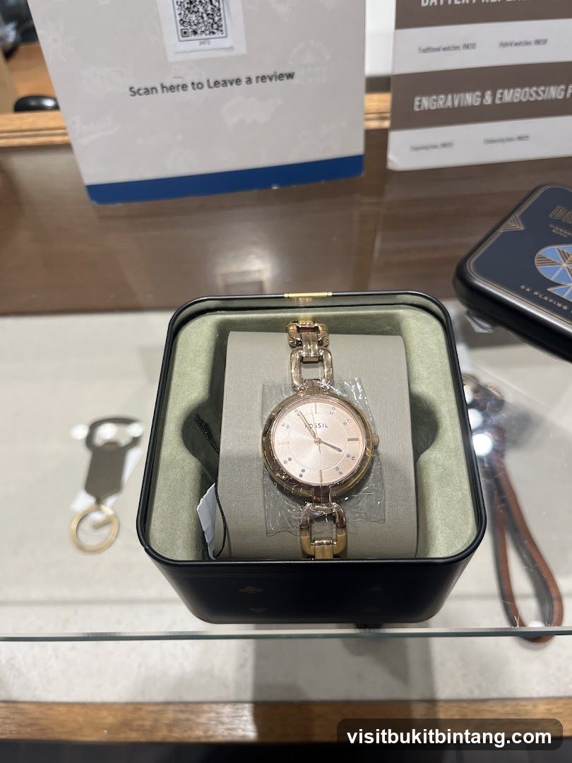 Fossil Watch Display