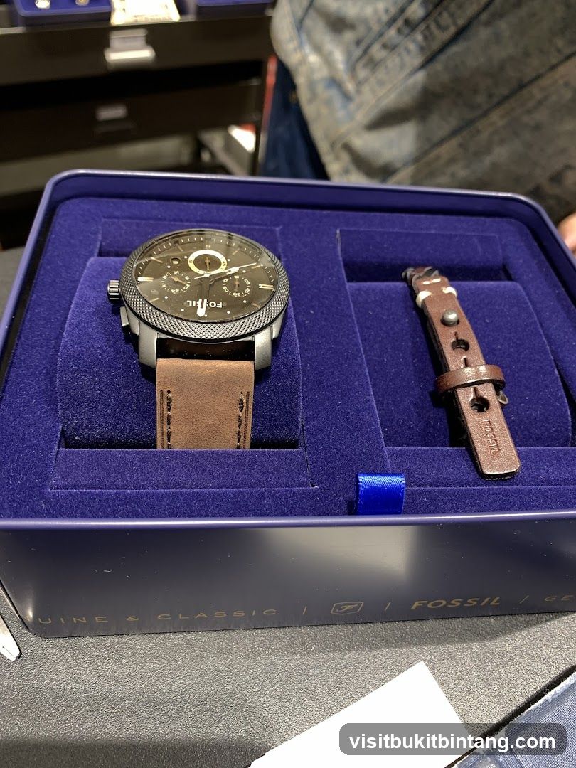 Fossil Watch Set