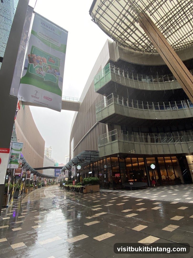 Rainy Day at a Shopping Center