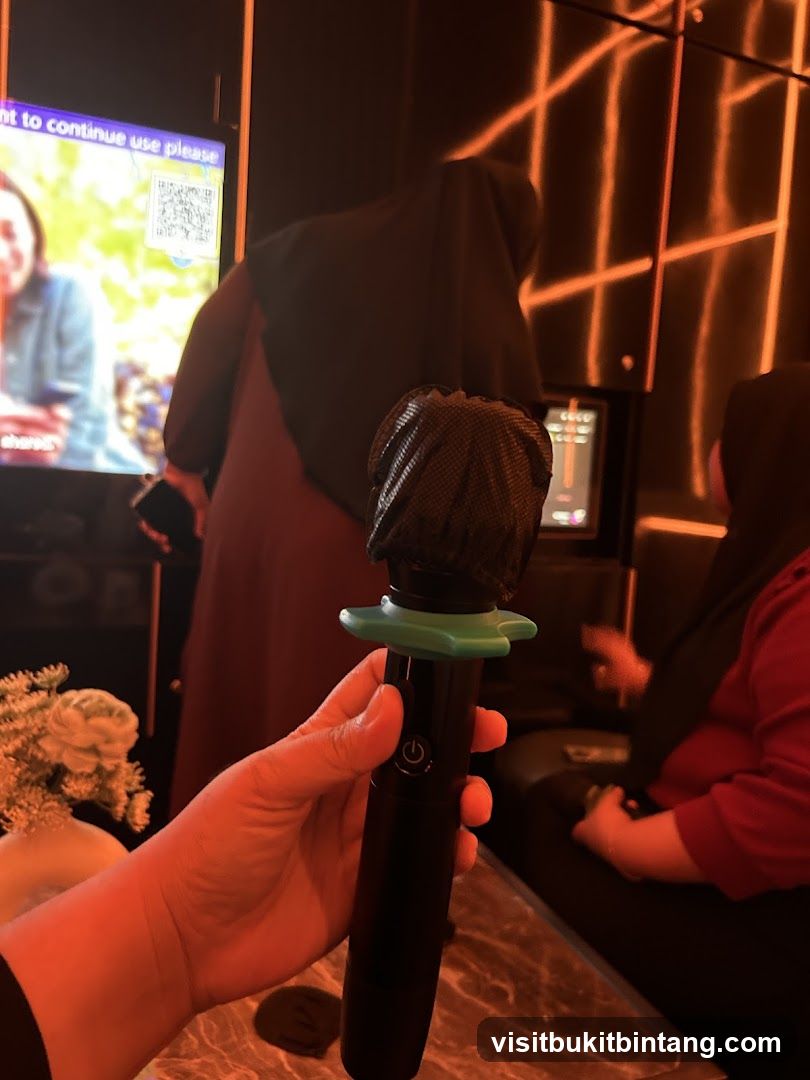 Karaoke Microphone