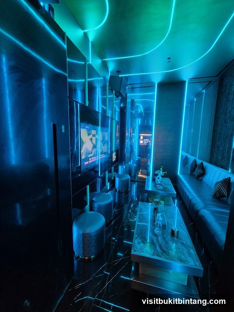 Modern Karaoke Room
