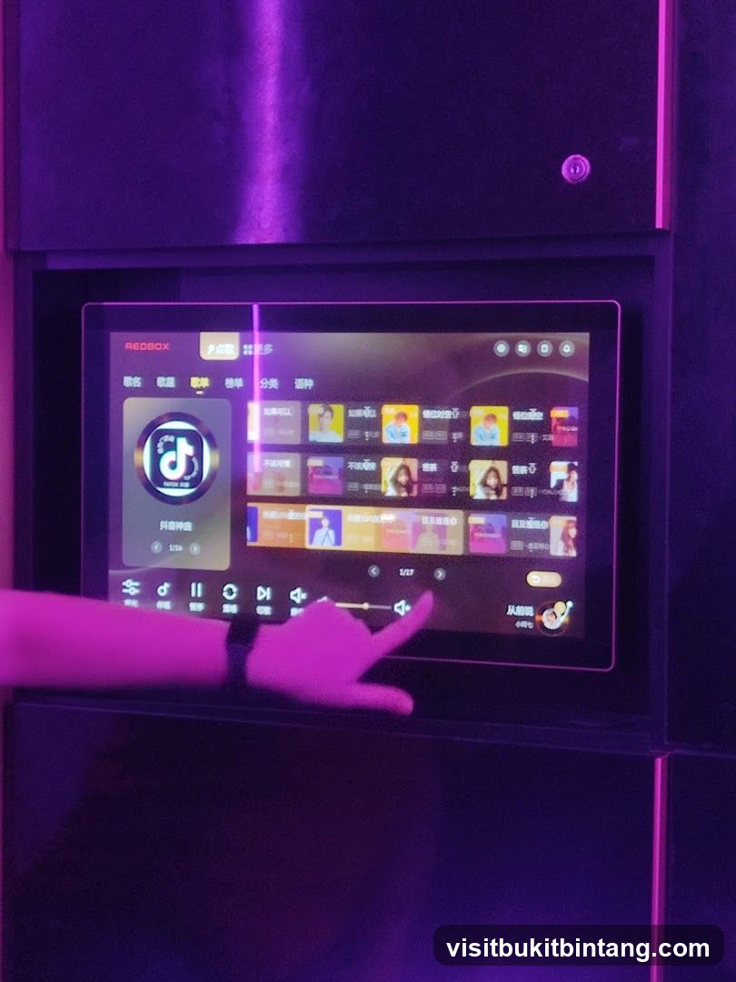 Karaoke Machine Interface