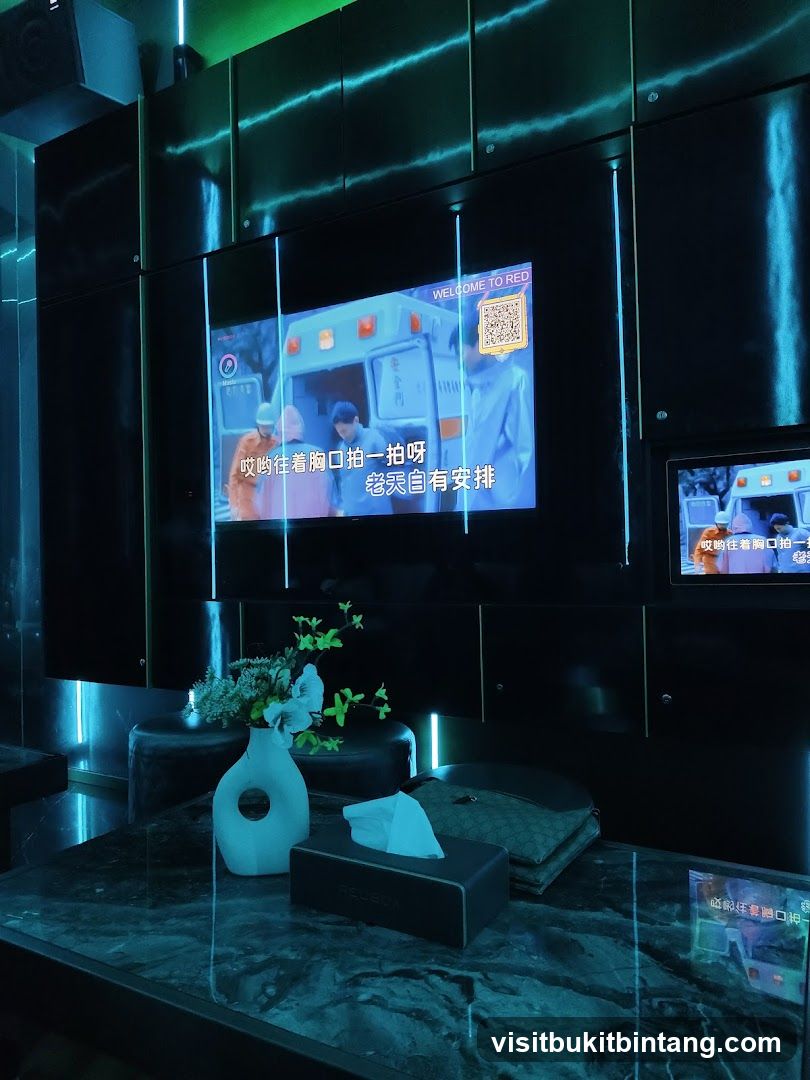 Karaoke Room Entertainment