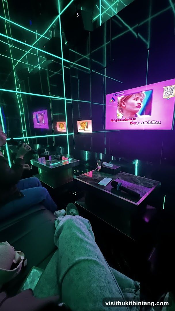 Karaoke Room with Screens and Microphones