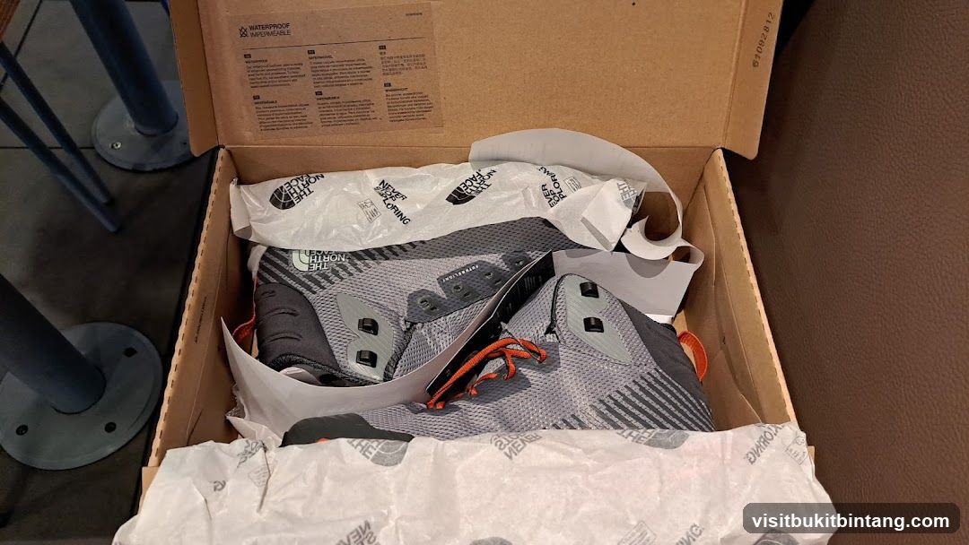 The North Face Boots in Box