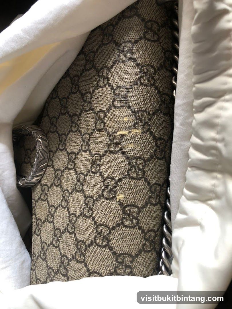 Gucci Bag Detail