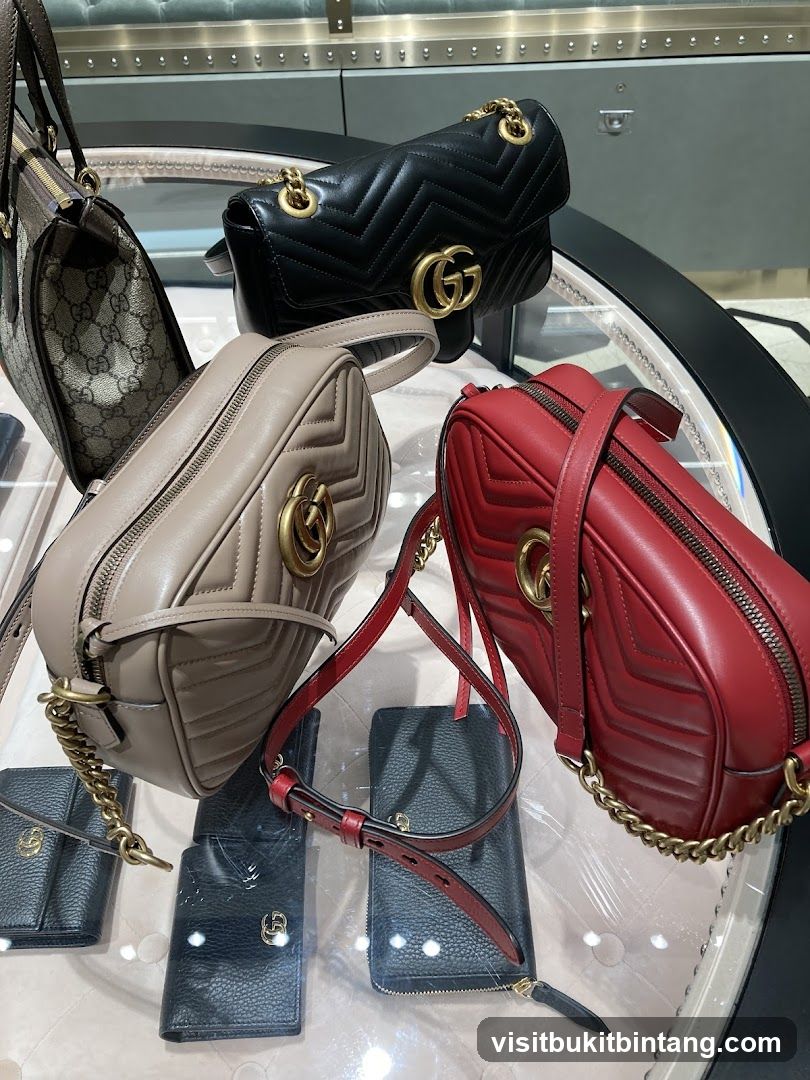 Designer Handbags and Wallets