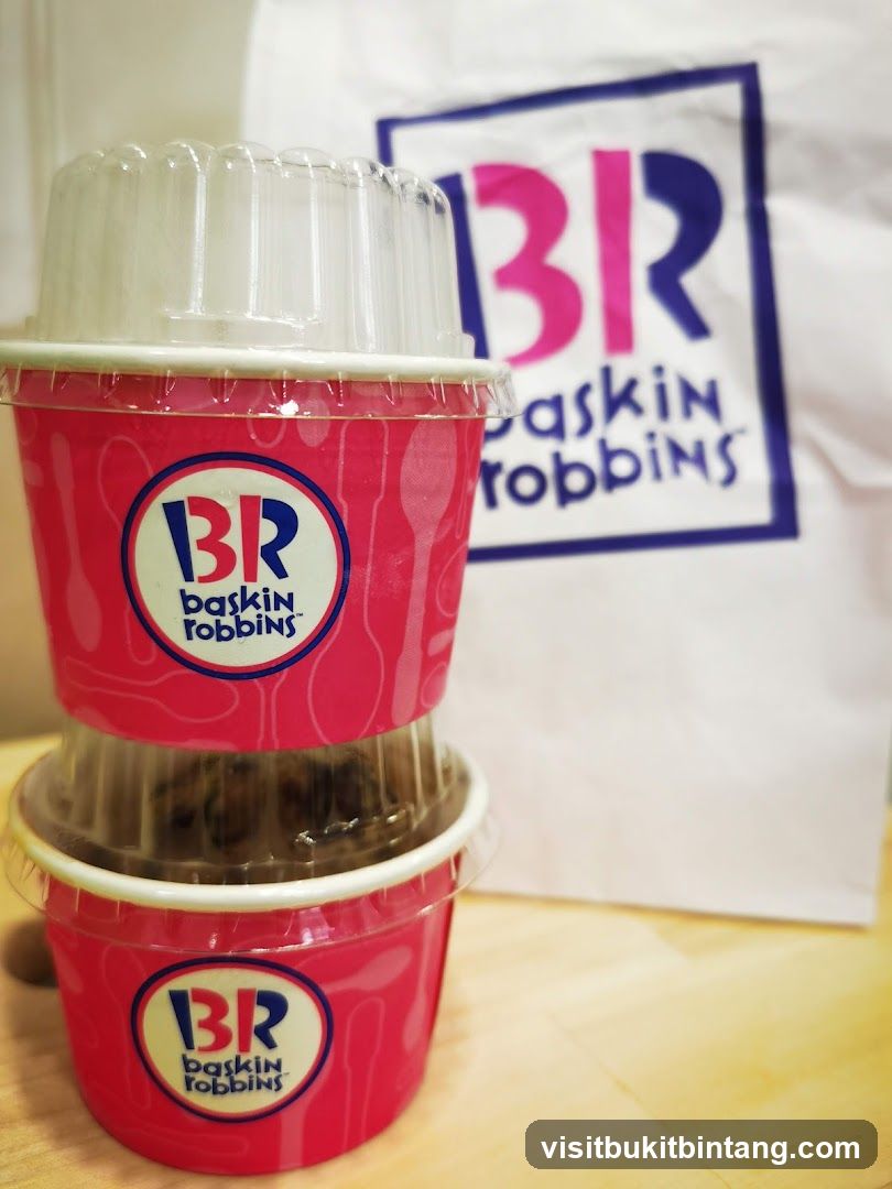 Baskin Robbins Ice Cream Cups and Bag