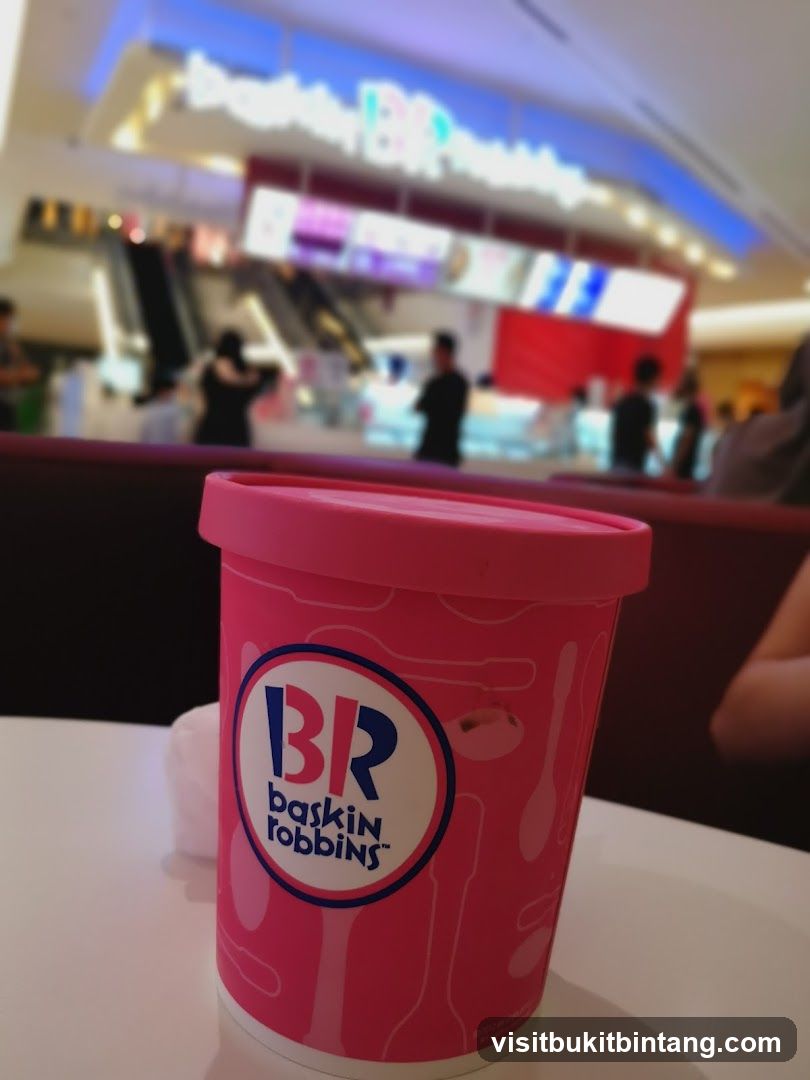 Baskin Robbins Ice Cream Tub