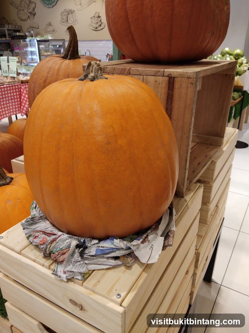 Pumpkins on Display