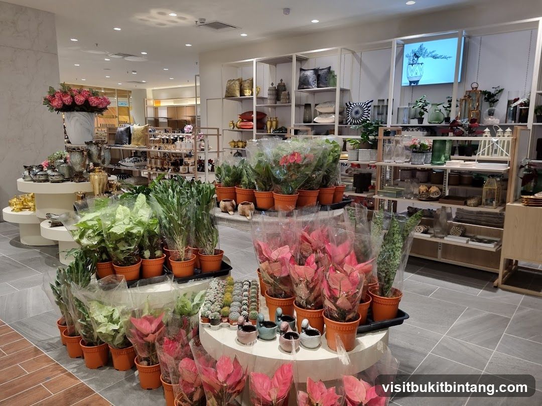 Home Decor and Plant Store