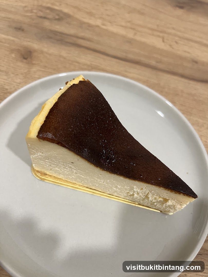 Burnt Basque Cheesecake Slice