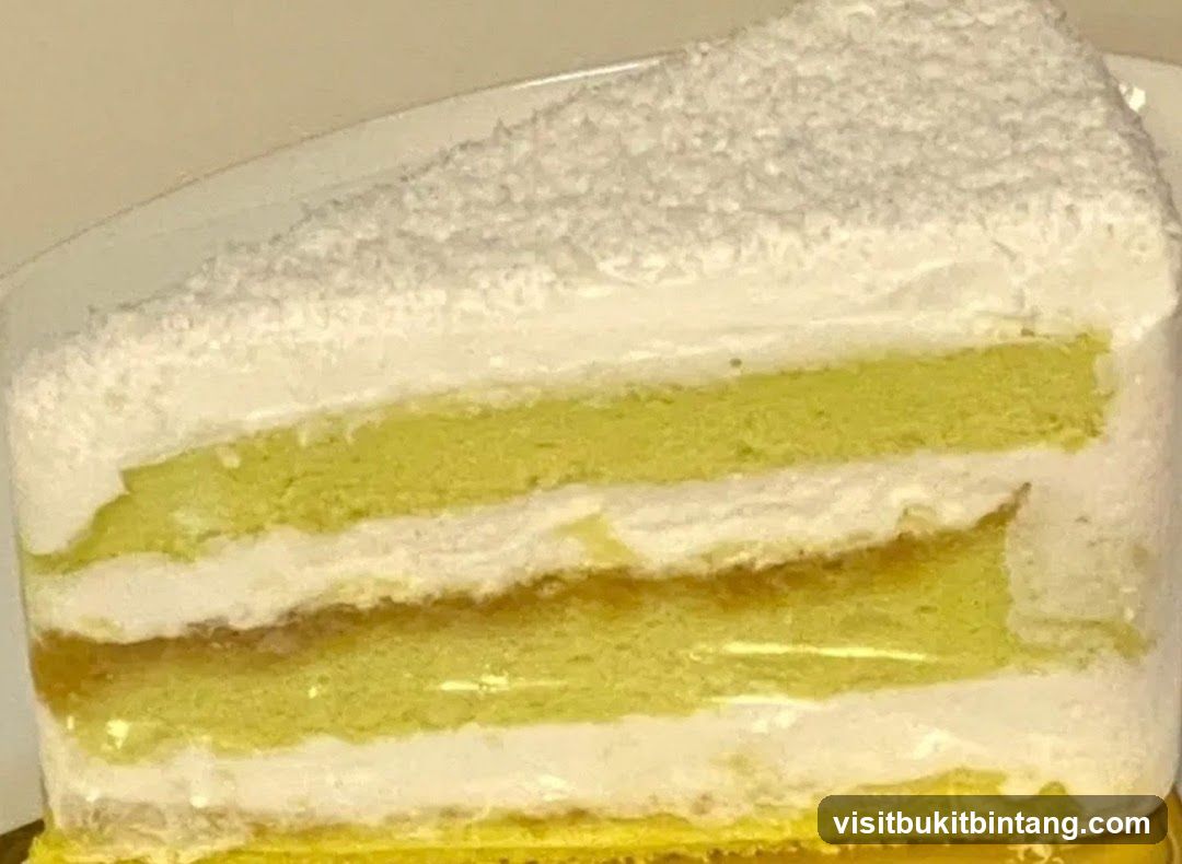 Slice of Cake