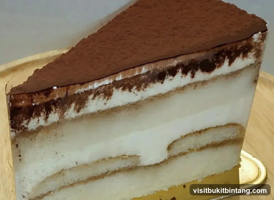 Tiramisu Slice