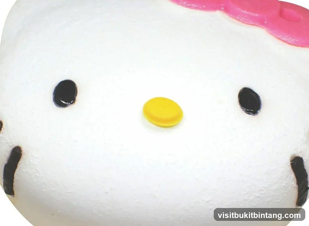 Hello Kitty Face