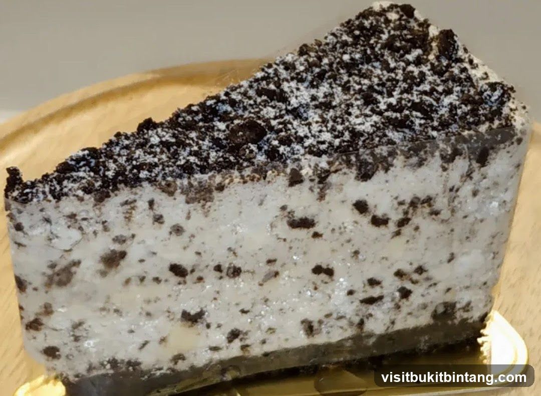 Oreo Cheesecake Slice